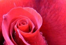 Scapa de stres simplu!