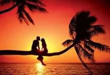 Unde fac zodiile sex