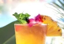 Retete delicioase – Nectar de fructe