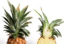 Ananasul – Calorii si vitamine