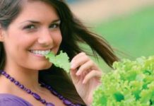 Dieta cu stevie pentru primavara – Beneficii miraculoase pentru organism