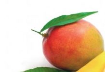 Dieta de slabit cu mango