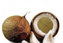 Dieta cu nuca de cocos – beneficii pentru organism