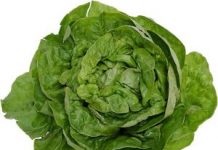 Salata verde – Diete si retete
