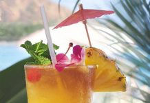 Retete cocktail de fructe cu putine calorii