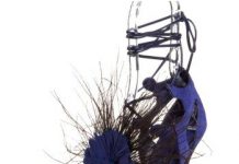 Accesorii din pene 2014 – Modele genti, coliere cercei, pantofi si bratari din pene
