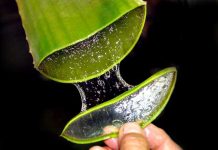 Mască pe bază de plante pentru ingrijirea părului