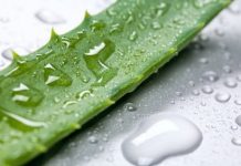 Retetă mască cu aloe vera pentru indepărtarea mătreții