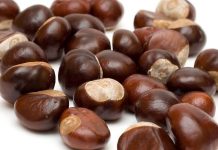 Castanele – beneficii pentru sanatate